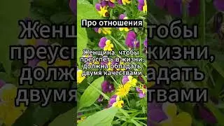 Женщина, чтобы преуспеть в жизни #психология #факты