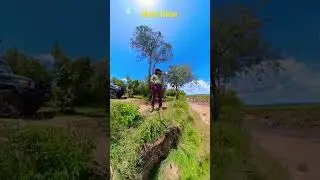 Mara river with hippos & crocs | 360° Photo