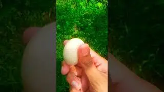 M4 Tech Egg Squeezing Challange accepted.#shorts #viral #malayalam