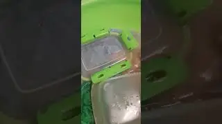 ВЫ НЕ ПОЖАЛЕЕТЕ !!!
