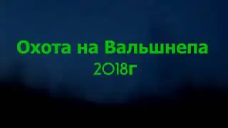 охота на вальшнепа 2018г