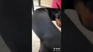 9 октября 2020 г.