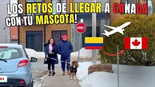 This is how she arrived in Canada with Horus her pet 🐶🇨🇦 Colombian tells her story!