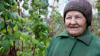 Федотьево ч.  4 эпизод 2