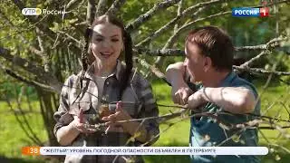 картофель
