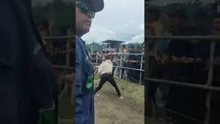 terjadi hal y tidak di inginkan saat acara balapan kuda