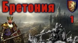 TOTAL WAR WARHAMMER: Бретония. Прохождение на русском. Часть 1