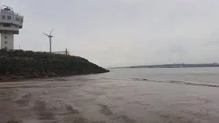 Shark sneaks up on group of swimmers at Seaforth Beach . River Mersey .