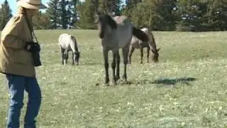 Elizabeth Graves with the Pryor Mountain Mustangs