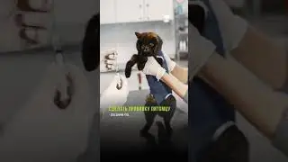 вакцинация животных в Москве