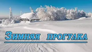 Зимняя прогулка