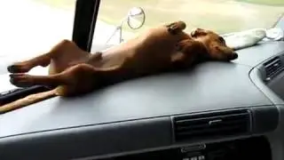 Nice spot for sleep / Отличное место для сна