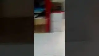Spin