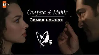 C & M || Ночная сказка