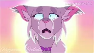 ★••Warrios Cats••★