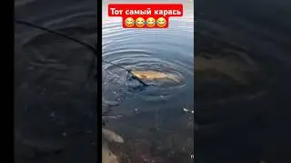 ранее "ушедший"карась устами ребёнка 🤣🤣🤣🤣