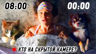 НАШ ДЕНЬ: бассейн, уборка, покупки, новая машина, рум тур, скрытая камера! 24 ЧАСА ВЛОГ ВПЕРВЫЕ
