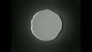 Dorian Concept - 'Not You Anymore' (Official Video)