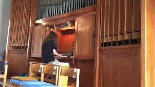 Sabaton “Stormtroopers” on organ