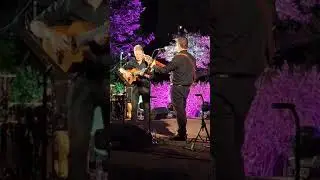 ערב של שושנים