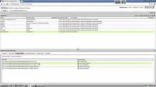 MetaData Manager Troubleshooting