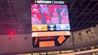 Wildcat Thunderstruck