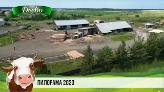 ПИЛОРАМА 2023