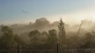 В деревне красиво! Псковская область.