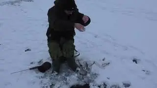 РЫБАЛКА