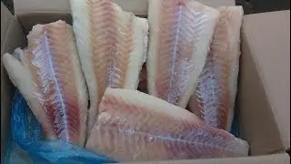 Удаление шкуры трески на шкуросъемной машине CH 350 P Южная Корея