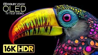 Most Beautiful 16K HDR Video ULTRA HD 240fps | Dolby Vision (8K/4K TV)