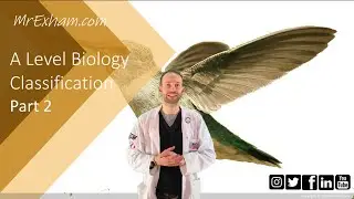Classification Part 2 - A Level Biology