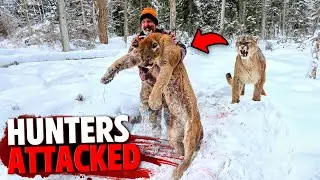 These 3 Animals Took REVENGE on Cruel Hunters!