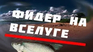 Ловля мелкой рыбы фидером на озере Вселуг (система Селигер)