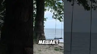 Стих: дарите радость