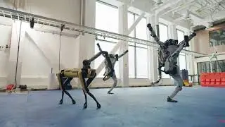 Do You Love Me  for robots