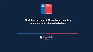 Modificación Ley 19.925 sobre expendio y consumo de bebidas alcohólicas