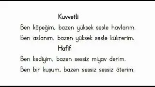 DOĞADAKİ SESLER