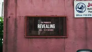 The Phronetic - Revealing (Big L - Put It On Remix)