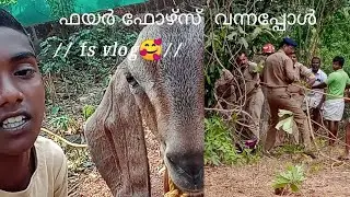 ഫെയർ ഫോയ്‌സ് എത്തിയ ഒരു ദിവസം 😄/fs vlog🥰//