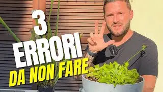 3 MISTAKES TO AVOID WITH YOUR CARNIVOROUS PLANTS | Lidl Edition