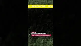 AKKURAT NÅ i Dyreparken i Kristiansand