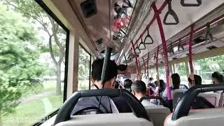 (SBST) SBS8873X On Service 102 - Scania K230UB Euro V Gemilang