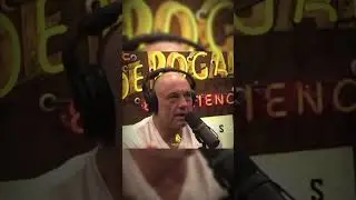 Joe Rogan about Steroid use in the UFC #mma #joerogan