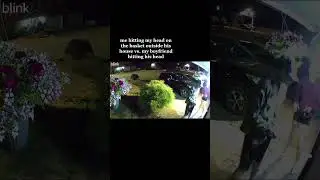People have anger issues when they hit their heads on a hanging plant!