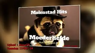 Molenstad Hits (2002)    -   Hoog in het Noorden