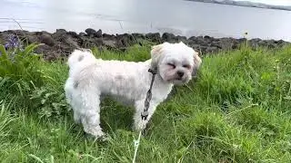 Rafa and Rach: Walking at the Seaside