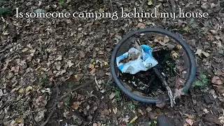 I Found Weird Lights Behind My House Part 2