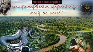 🐍🦅🕷️ကင်မရာနဲ့ အမိအရရိုက်ကူးနိုင်ခဲ့တဲ့ အမေဇုံတောကြီးထဲက ကြောက်မက်ဖွယ် သတ္တဝါ ၁၀ ကောင် 🐍🦅🕷️
