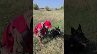 Мы занимаемся  С кинологом ПСС! 🐕‍🦺 #спасатели #кинологи #ПСС